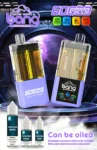 Puff 60k Bang 60000 Refillable Vape – Grape Ice & Blueberry Grape