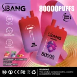 bang-leader-80k-puffar-strawberry-watermelon-grape-ice-rainbow-candy