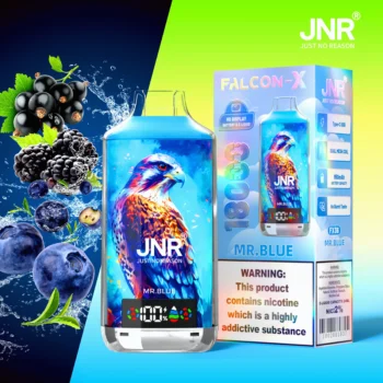 JNR Falcon-X 18000 Mr.Blue 使い捨てVAPE