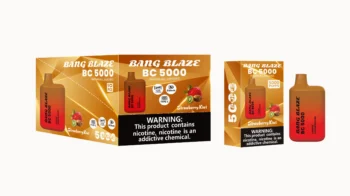 BANG Blaze BC5000 ストロベリーキウイ VAPE 電子タバコ フレーバー